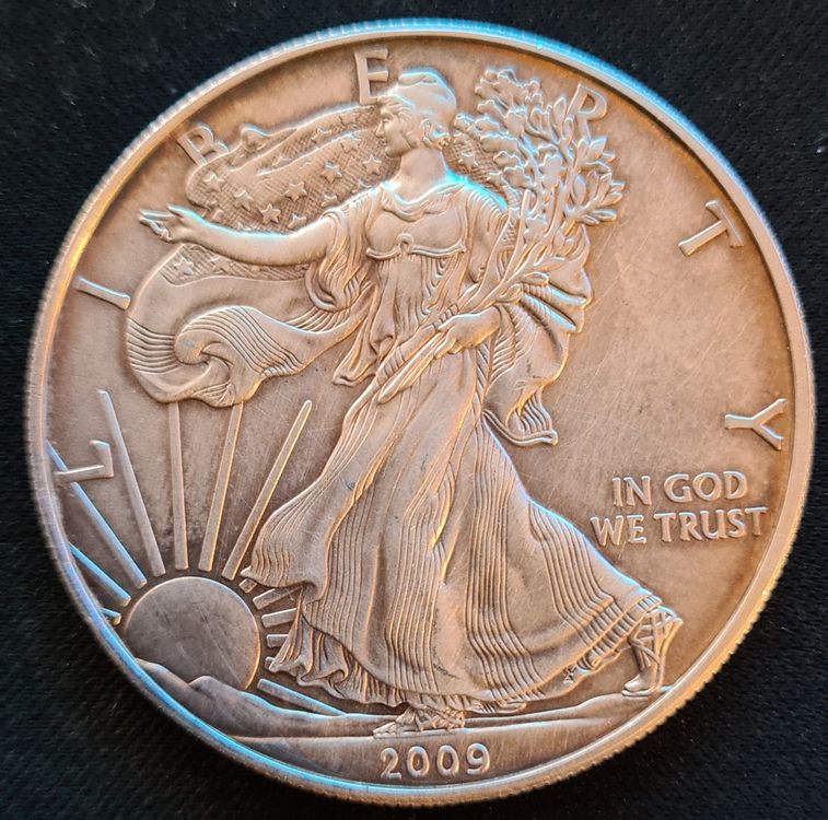 Münze FINE SILVER-ONE DOLLAR USA | Kaufen auf Ricardo