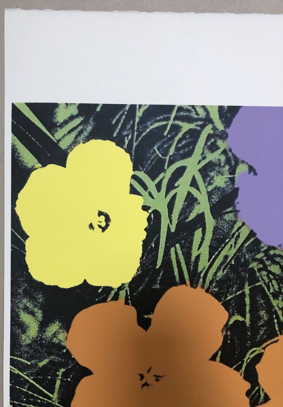 Foto & Immagini: Andy Warhol: Flowers 83/100 – Nuovo (secondo la descrizione) da Meilen venduto da Smgdesign 3