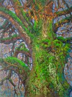 Original: Im Wald - bemooster Stamm; 60x80cm
