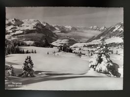 Ibergeregg Abfahrt Grossboden dat. 1968