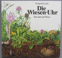 Die Wiesen-Uhr • Das Jahr der Wiese - von Irmgard Lucht