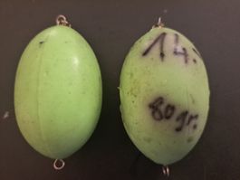 2 flotteurs plombées flottants 80 gr. Schwimmenden Posen