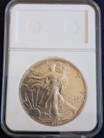 American Eagle Silber Dollar 1987 1 oz