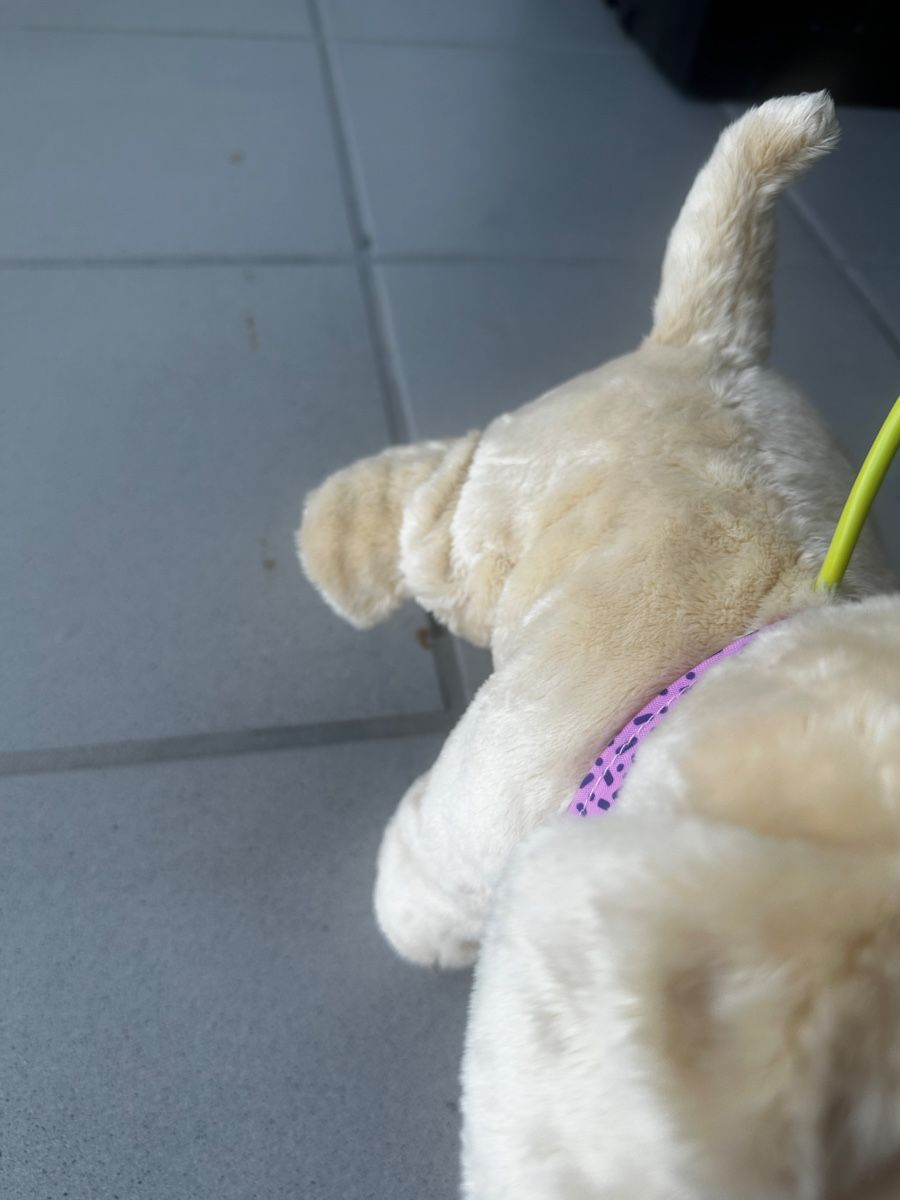 Giocattoli: Baby Born Hund Lucky – Usato da Forch venduto da sv94 8