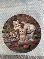 Sammler Teller "Am Seerosenteich" Katze Motiv unbenutzt