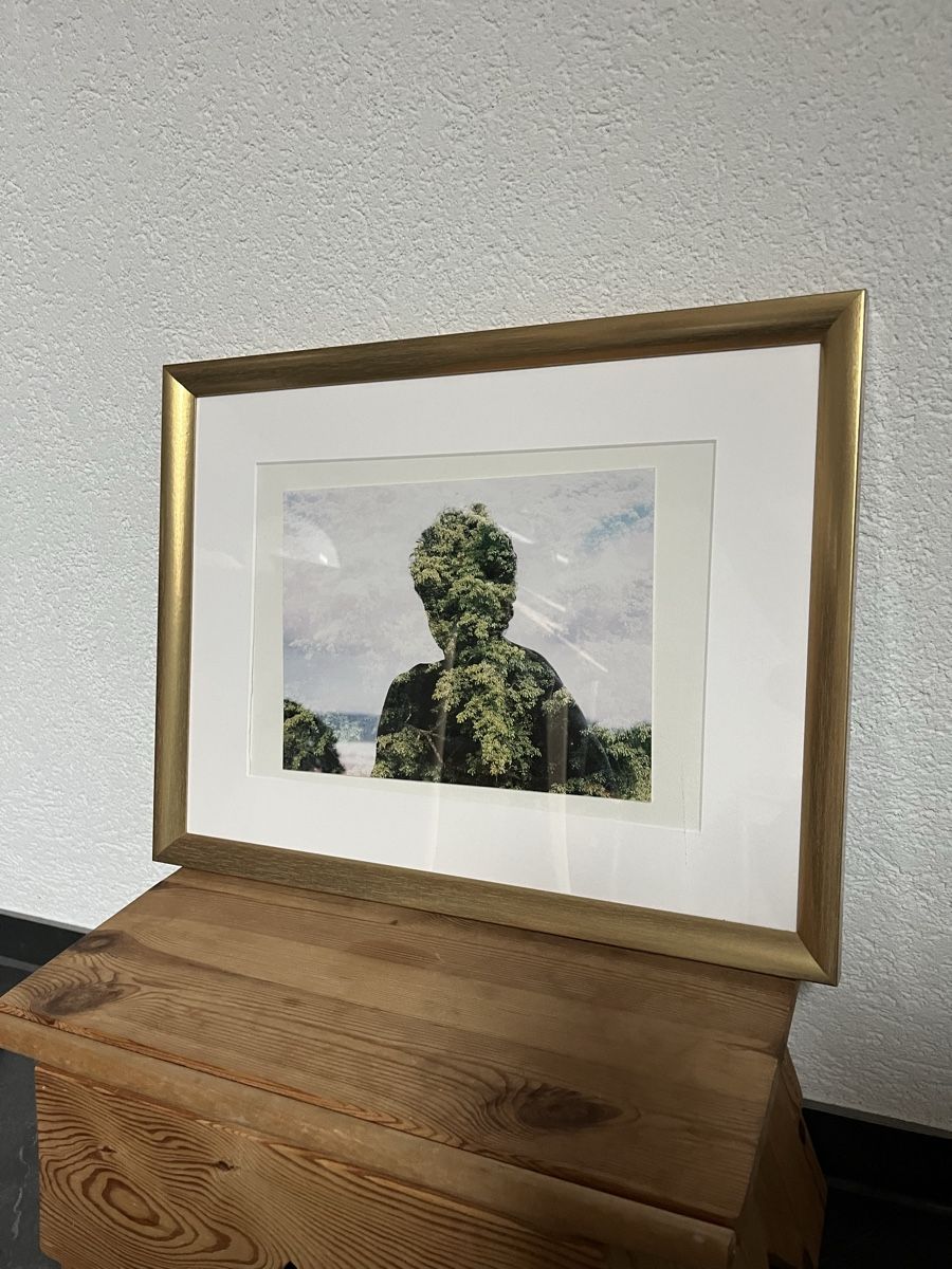 Ikea Cornici: Naturporträt im Rahmen – Usato da Bern venduto da wisemagpie 1