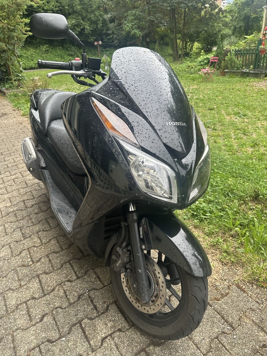 Honda Altro: Honda Forza – Usato da Baar venduto da Swordwalhalla 1