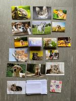 Tierkarten mit Couverts und Servietten, Erlös an Tierschutz