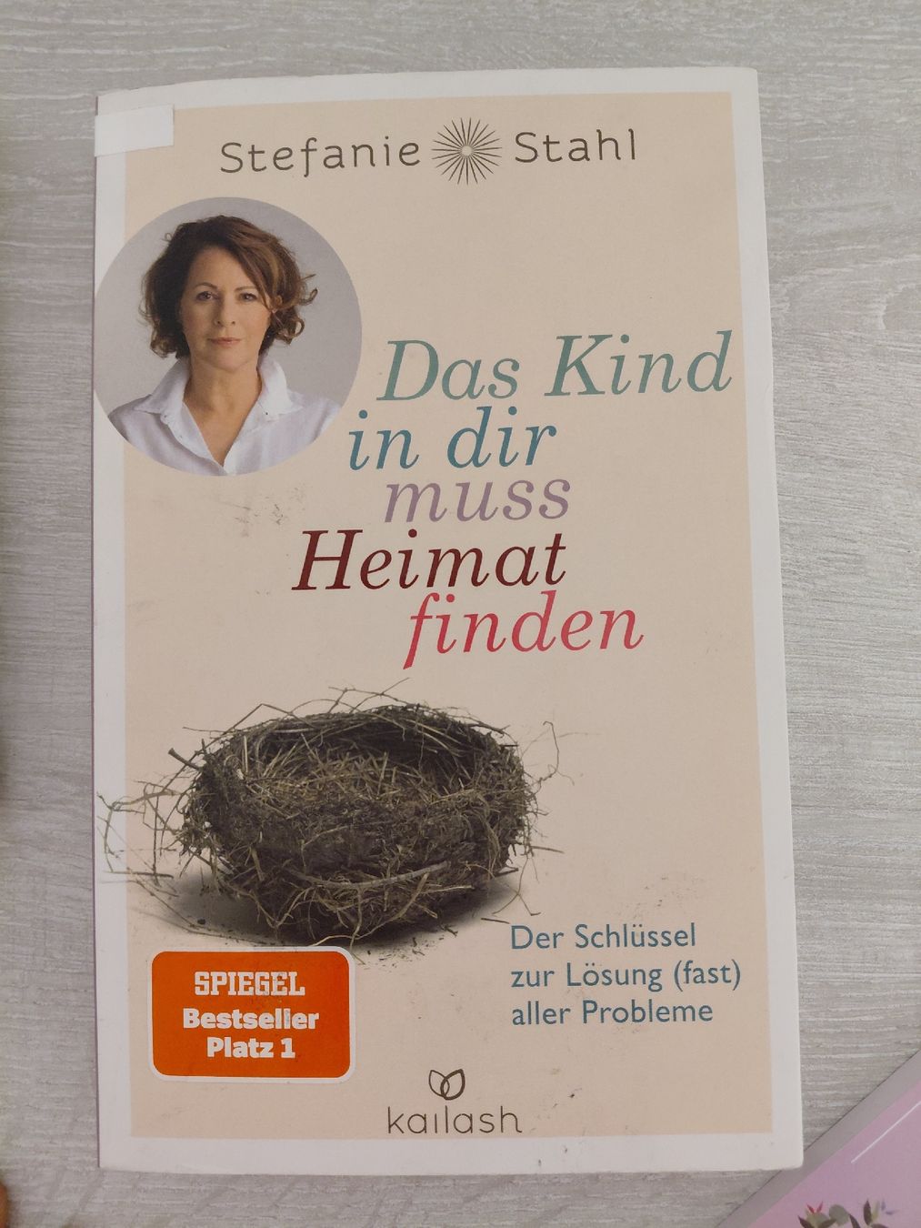 Bücher: buch das kind in dir – Neu (gemäss Beschreibung) aus St. Niklaus VS von sportler60