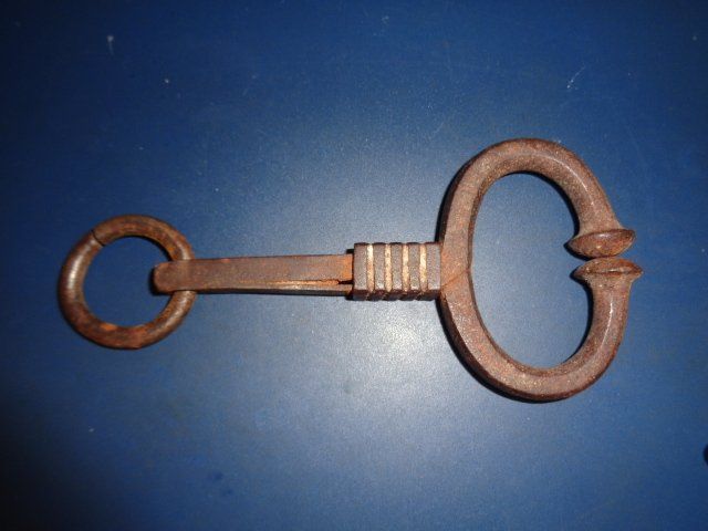 Stier Nasenring Edelstahl - Veterinär Septumring Für Rinder Kontrolle