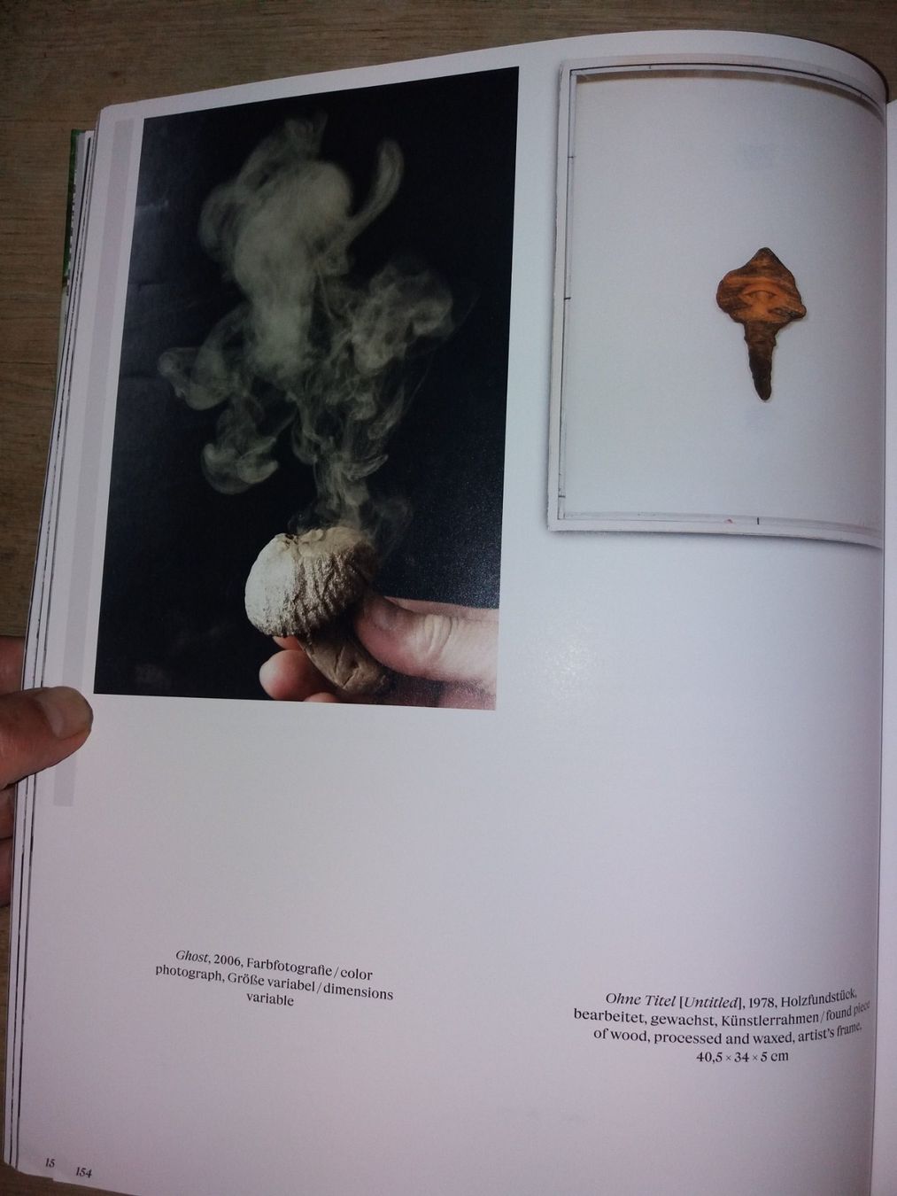Bücher: KUNSTKLASSIKER Lois Weinberger   Basics       selten – Gebraucht aus Welschenrohr von Regool 6