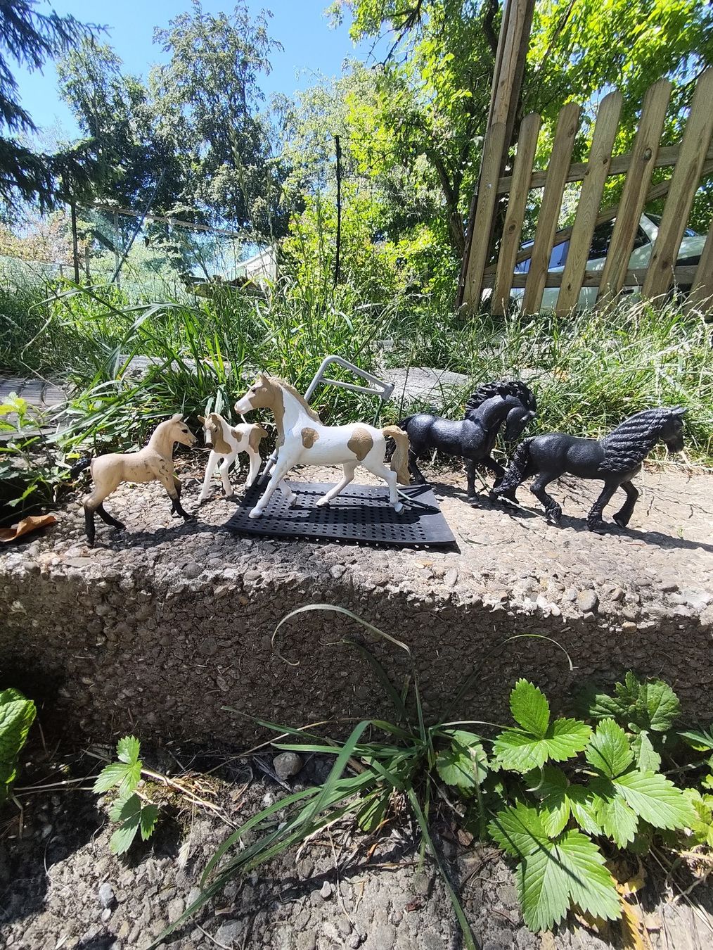 Schleich Giocattoli: 5 Schleich Pferde  – Usato da Wald ZH venduto da Enyafay