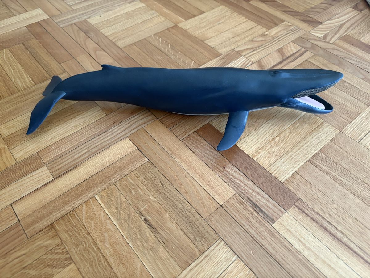 Schleich Jouets: Jouet bain Baleine – D'occasion à Genève par cec_6qrf
