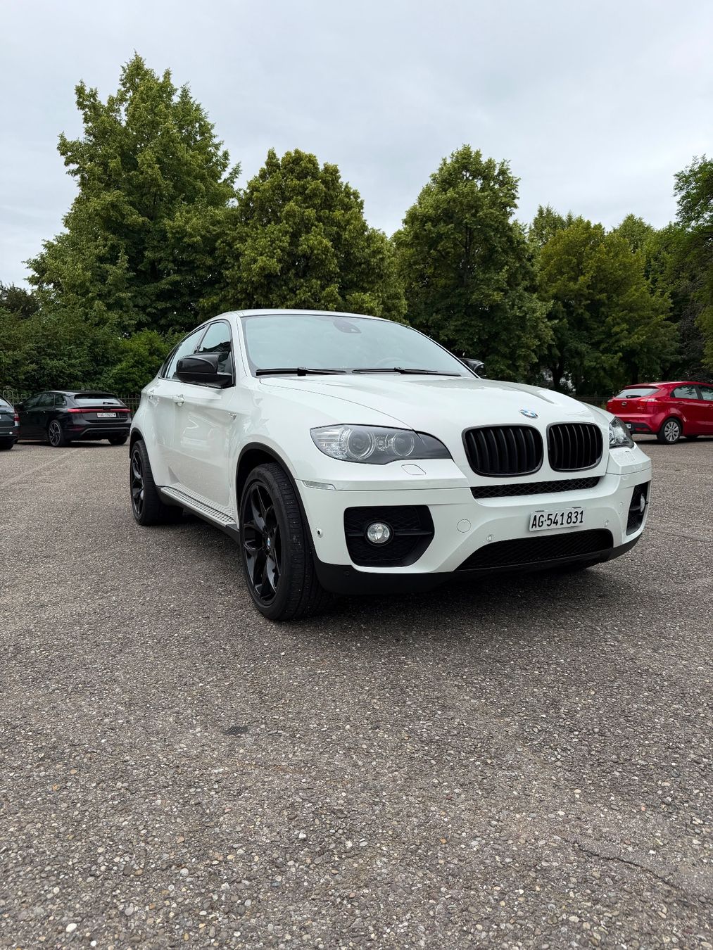 BMW Automobili: Bmw X6 40d – Usato da Bad Zurzach venduto da maus027 1