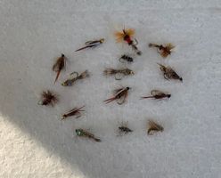 15 Stück verschidne Fliege und Nymphen