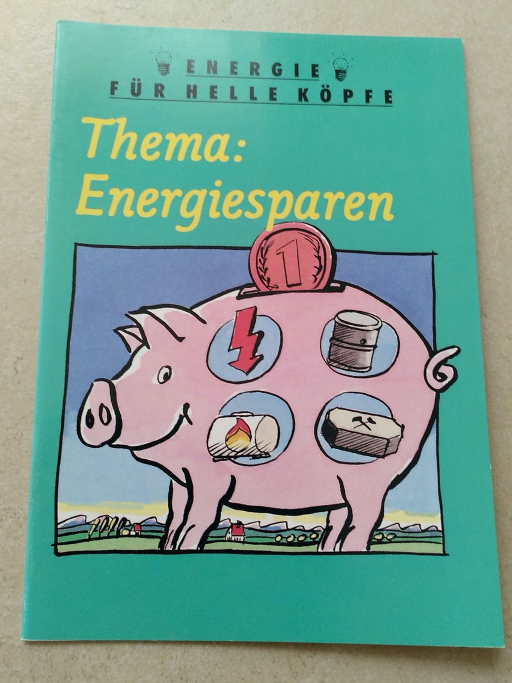 Libri: THEMA:ENERGIESPAREN – Usato da Brugg AG venduto da olamim