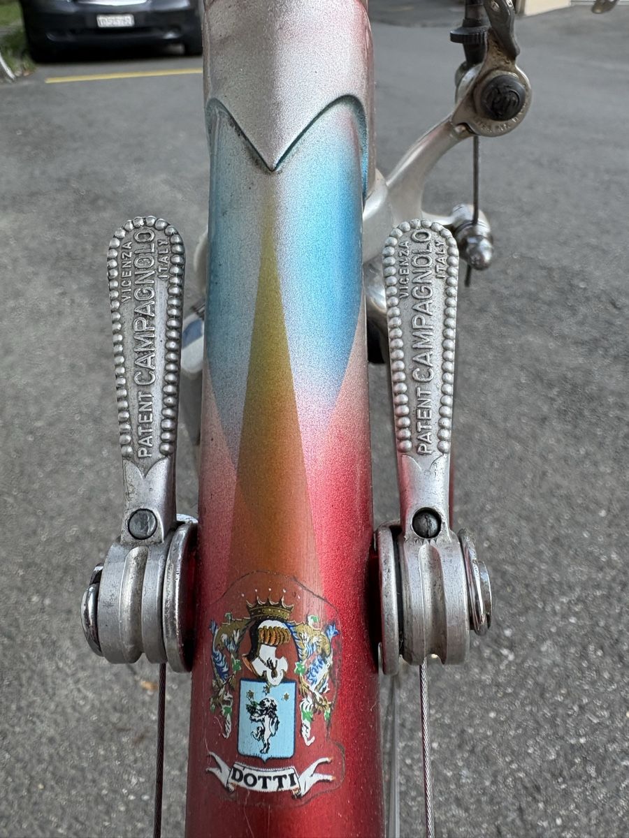 Biciclette: DOTTI Competition. – Usato da Lausanne venduto da Zorrus77 4