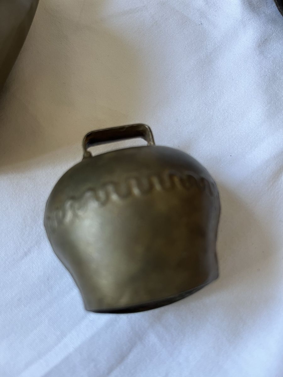 Campanacci mucche: 4 x Glocken Kuhglocken – Usato da Münchenstein venduto da Sozial_Labor_Brocki 1