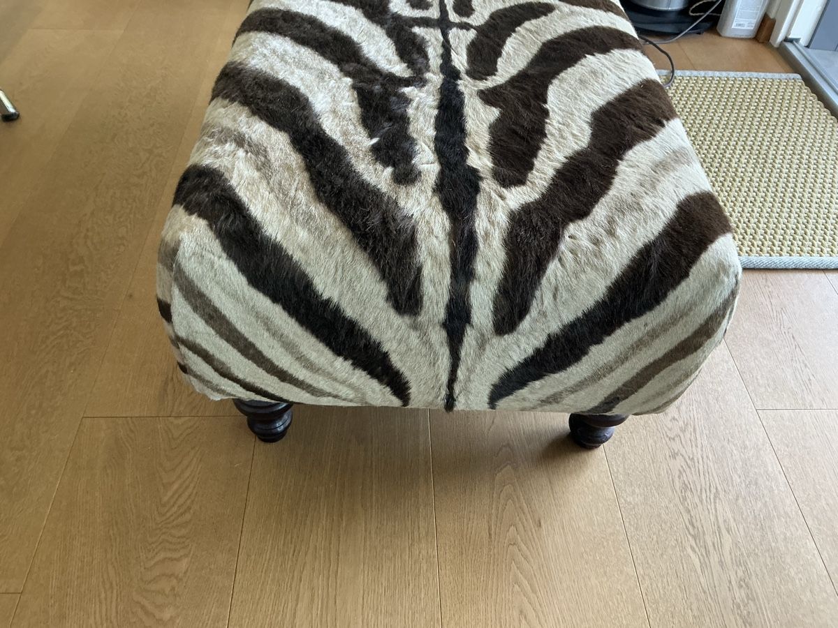 Sgabelli: Zebrafell original Hocker – Usato da Wetzikon ZH venduto da Uturn4 2