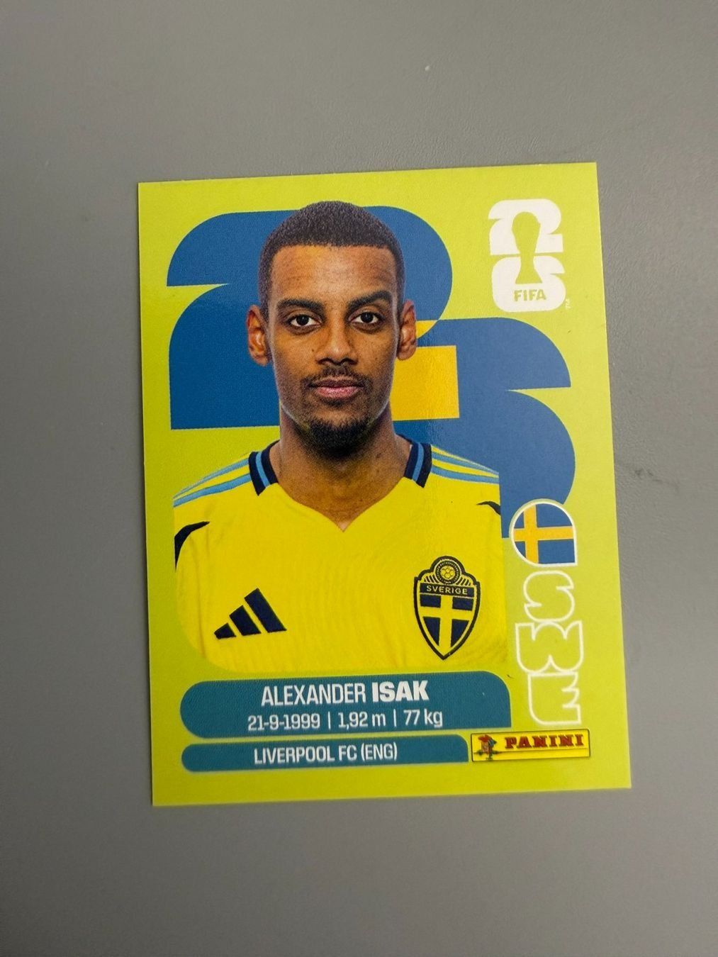 Panini Carte collezionabili: Panini Alexander Isak SWE19 – Usato da Liebefeld venduto da Ronaldo-1996