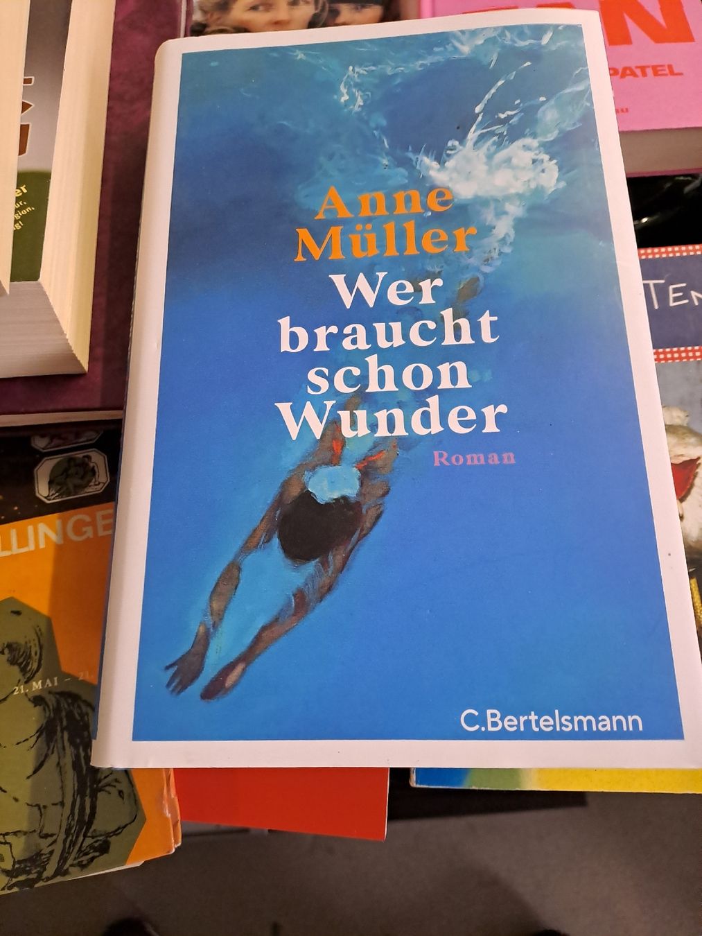 Bücher: Roman "Wer braucht schon Wunder" – Gebraucht aus Zürich von Schoebi19 1