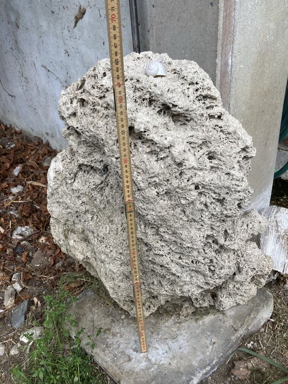 Naturstein mit löcher für Teich Kaufen auf Ricardo