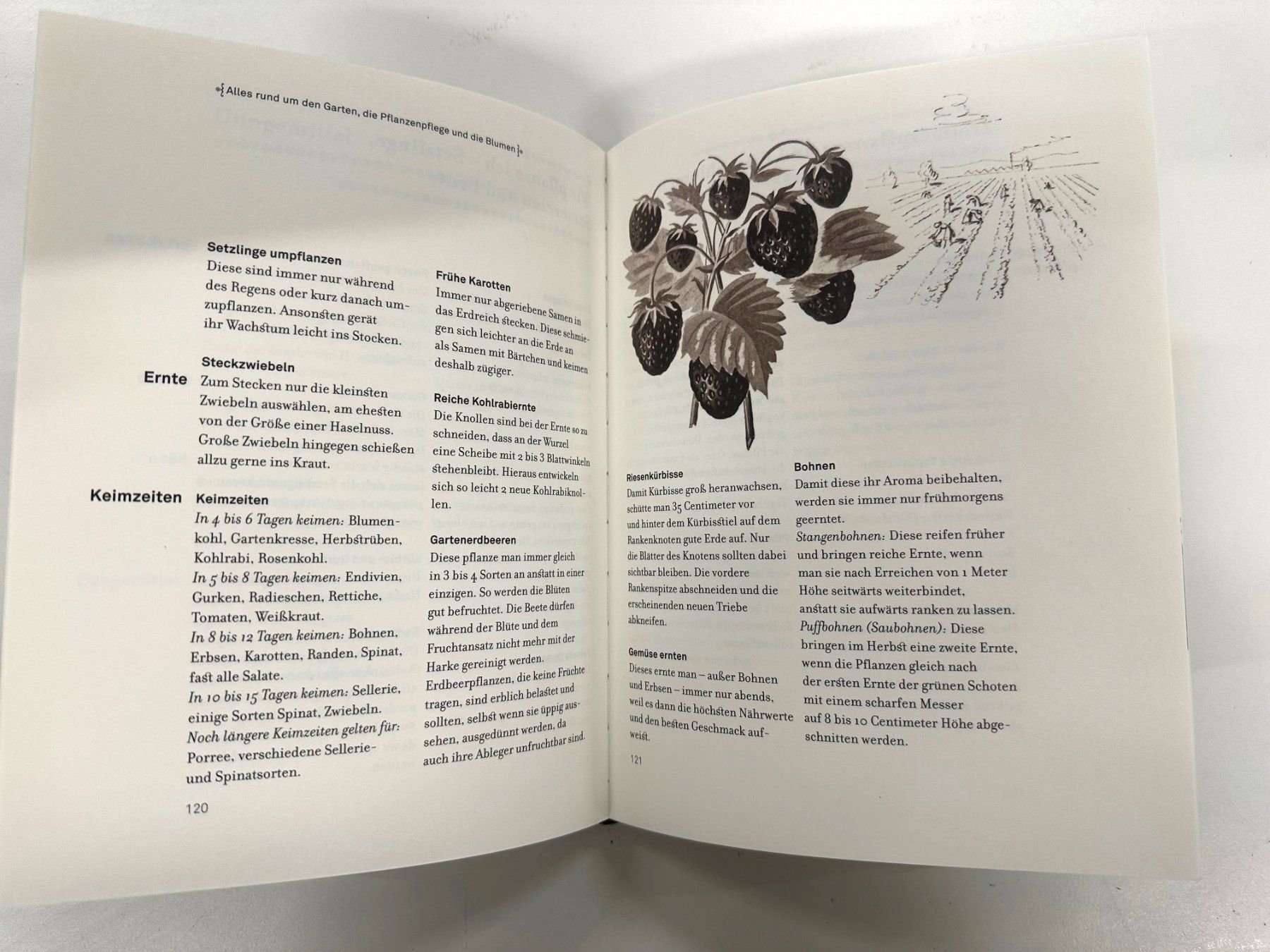 Livres: Vom Fleck weg – Neuf (Voir description) à St. Gallen par winona04 2