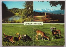 Restaurant Gottschalkenberg 1150 m