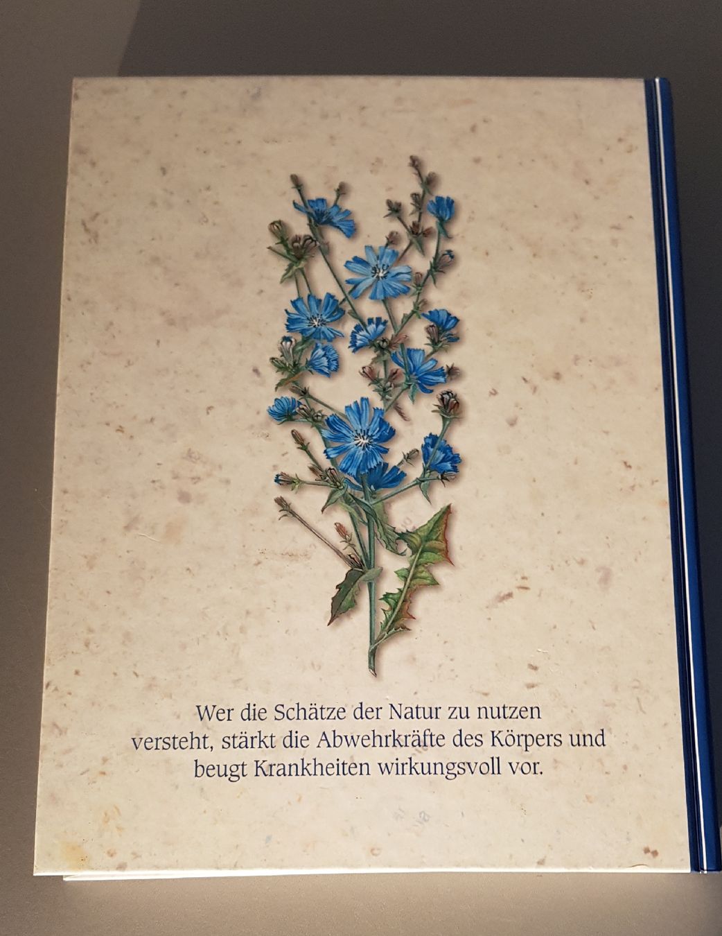 Libri: Heilpflanzen Buch – Usato da Erlenbach ZH venduto da wem_6f9c 1