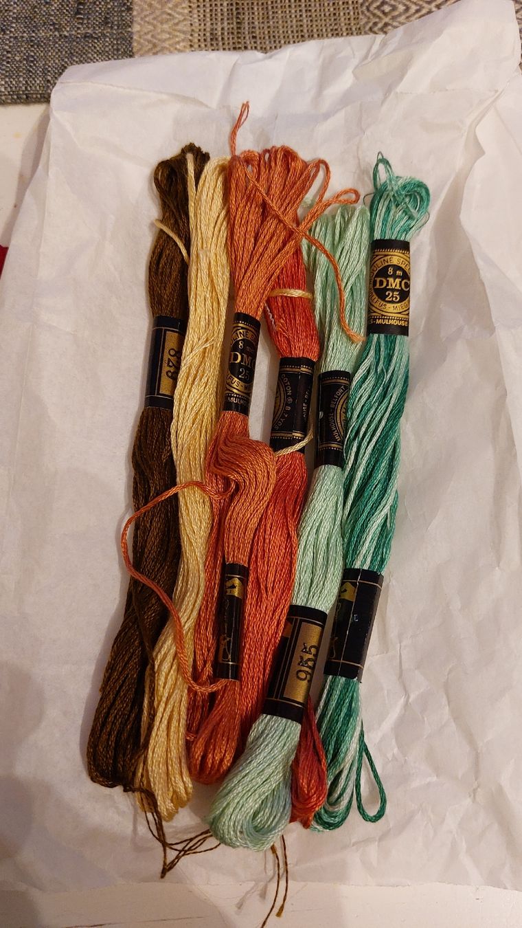 Cordicelle & Fili: DMC Stickgarn, Herbstfarben, 6 Strängli, Top Zustand! – Nuovo (secondo la descrizione) da Niedergösgen venduto da Bertiana