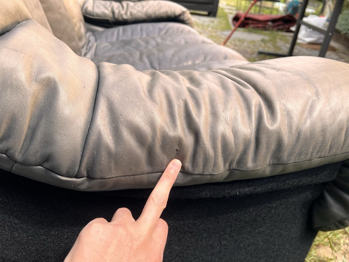 Sofas: de Sede ds 600 , Sofa (85) – Gebraucht aus Glattfelden von maa_qcj8 3