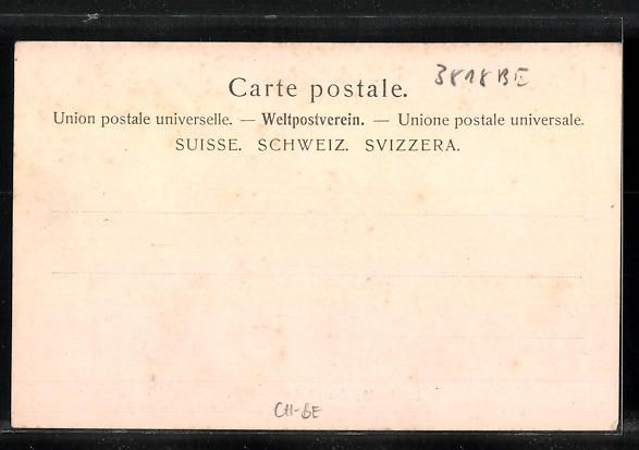 Cartoline postali: AK Grindelwald, Dort aus der Vogelschau – Usato da Berlin venduto da bartko-reher 1