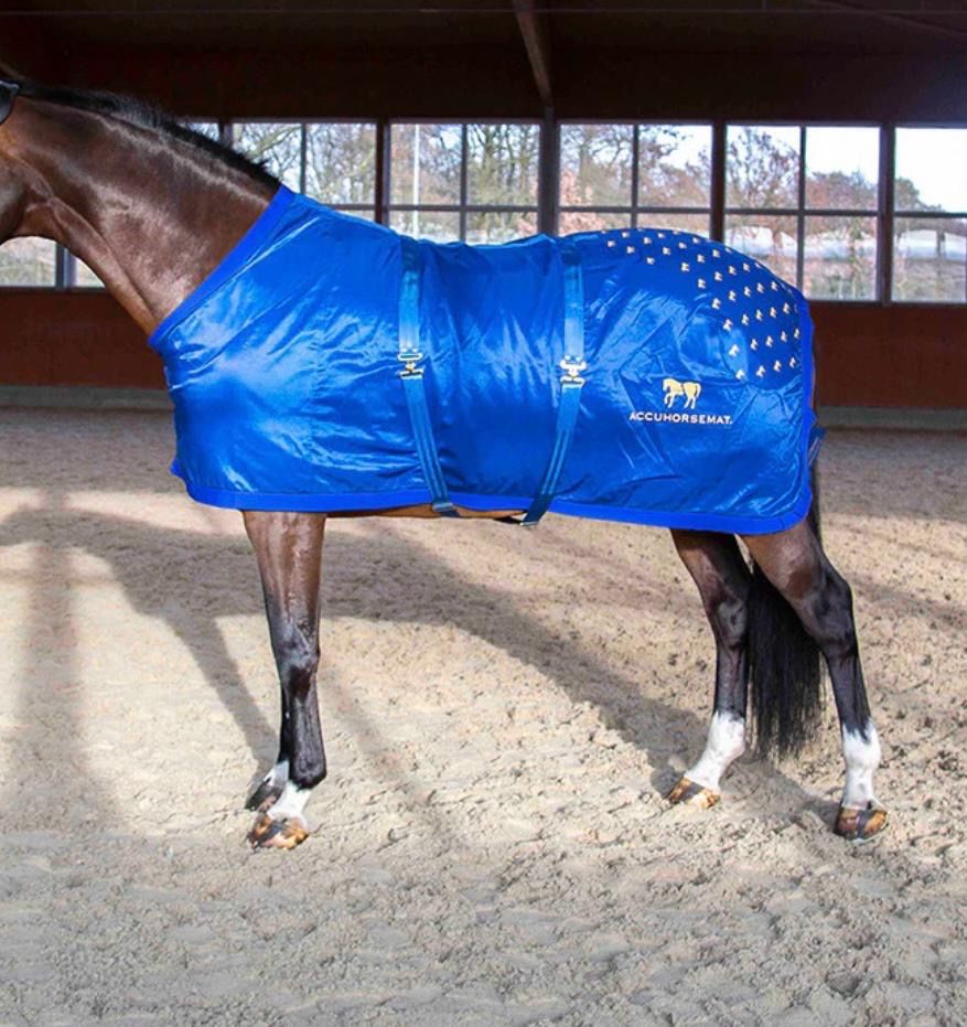 Coperte: Accuhorsemat Pferdedecke Royalblau Gr. M – Nuovo e nell'imballaggio originale da Oberurnen venduto da jasmin2fel