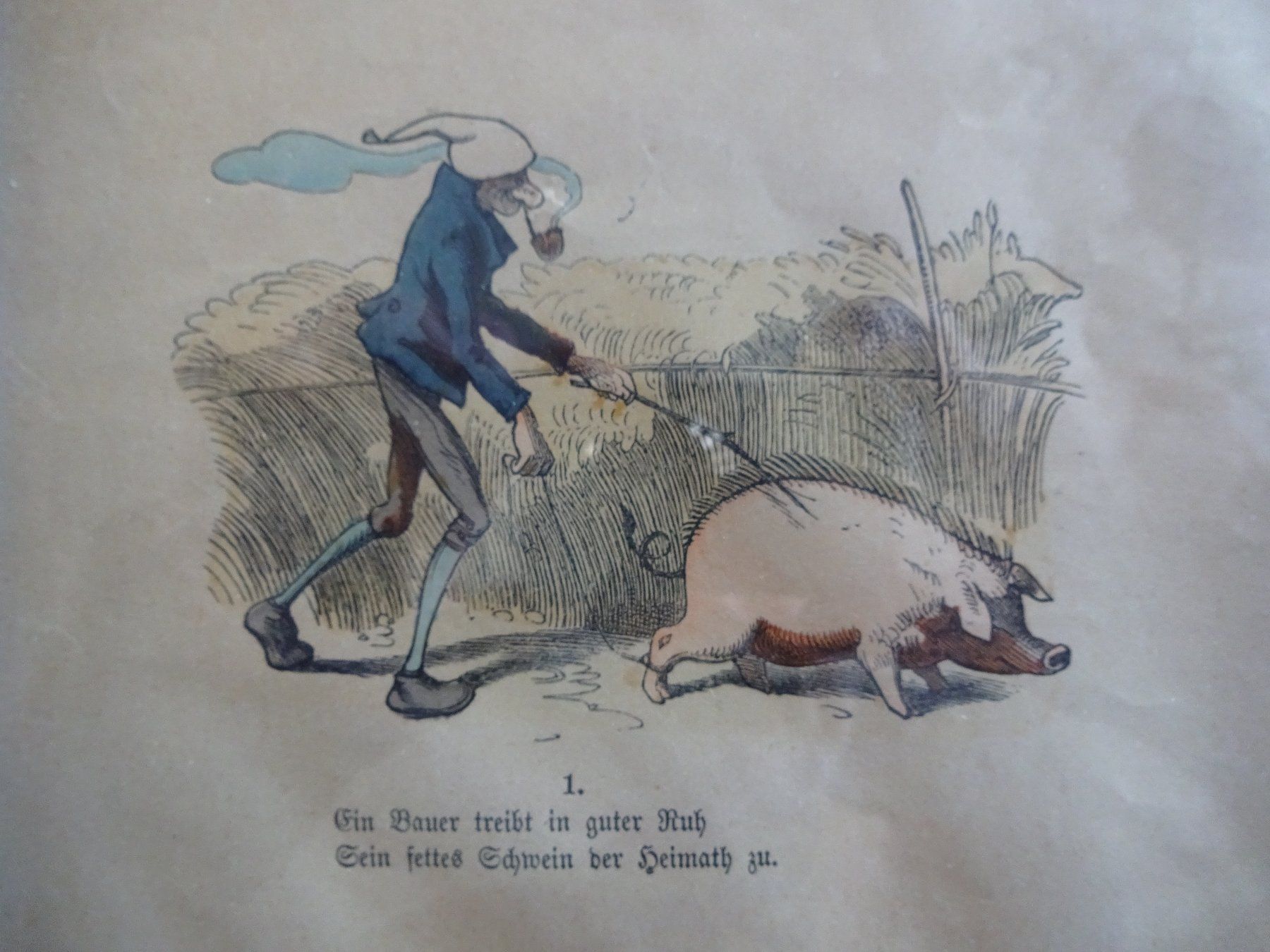 Incisioni: Münchner Bilderbogen. Wilhelm Busch. Von 1862. – Usato da Goldach venduto da armando_r 4
