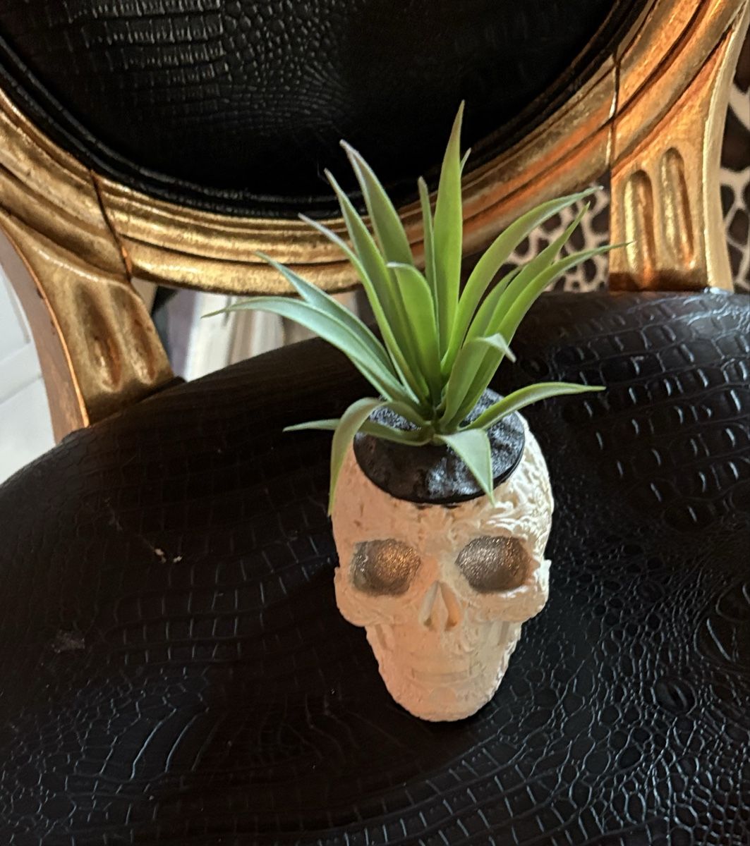 Statuette: Totenkopf Set  – Nuovo (secondo la descrizione) da Safenwil venduto da taschenlady