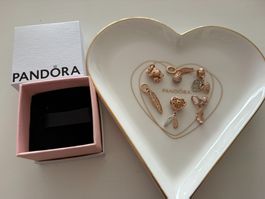 Pandora Charms - Herbst (Silber und Roségold)