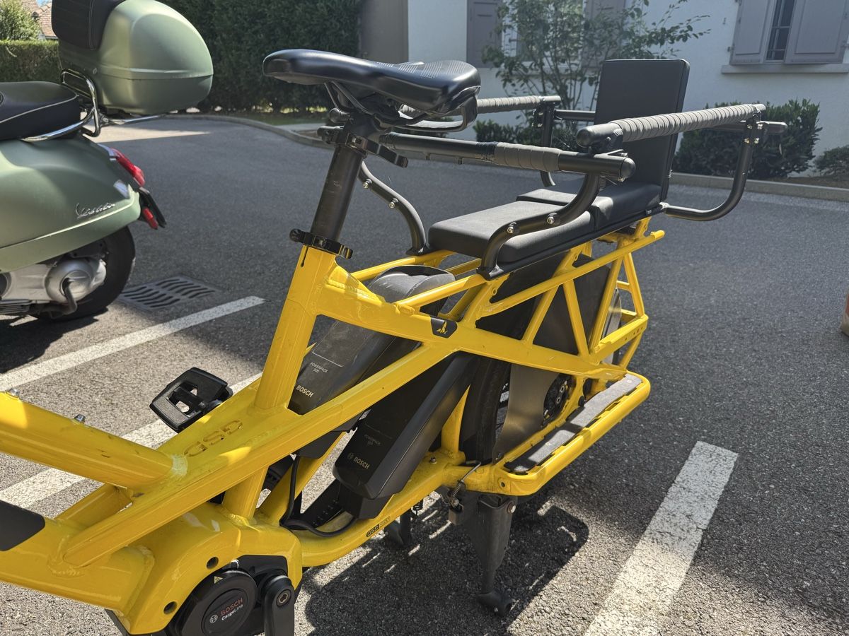 Tern Biciclette: Tern GSD S00 Gen 2 jaune – Usato da Vésenaz venduto da vik0step 2