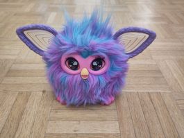 Furby (gebraucht, spricht deutsch)