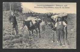 Flums Transport nach Wildenberg (Schönhalden)