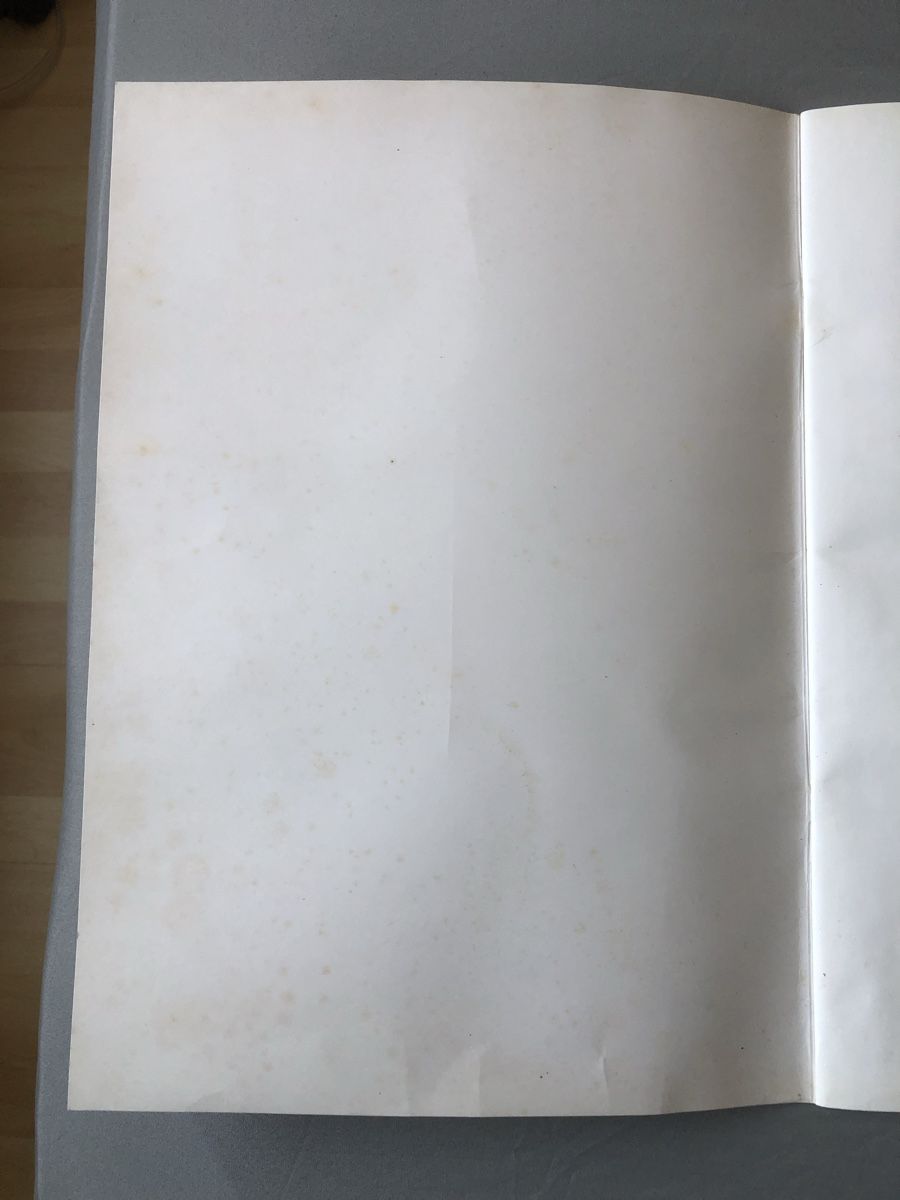 Foto & Immagini: Elvis Poster Book 1987 – Usato da Lenzburg venduto da Alfred1341 4