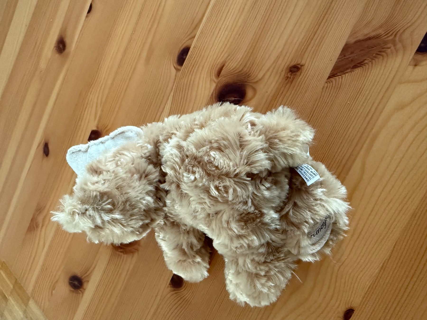 Giocattoli: BUKOWSKI Teddybär klein – Nuovo (secondo la descrizione) da Richterswil venduto da Eunoia85 1