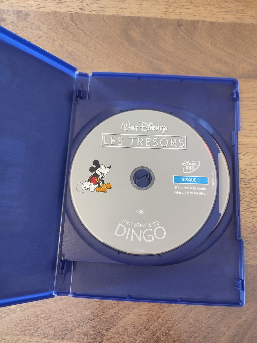 Tutti i DVDs: L'intégrale de Dingo - Edition collector 2 dvd – Usato da Bougy-Villars venduto da Vogue 1