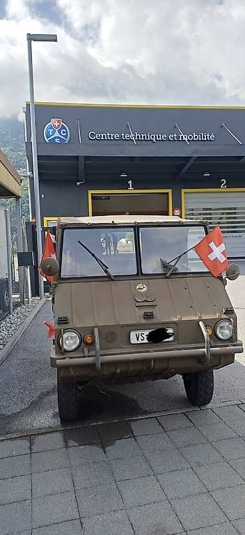 Veicoli commerciali: Haflinger expertisé vétéran  – Usato da Sion venduto da clo_6rqd 1