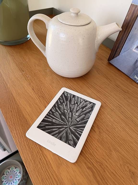 Tablet PC: Amazon Kindle eReader – Usato da Stein AR venduto da Salia