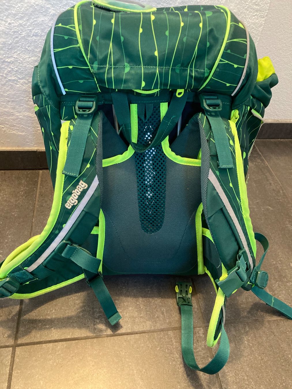 Ergobag Zaini: Gebrauchter Ergobag Schulrucksack – Usato da Flawil venduto da Mrrhu 1