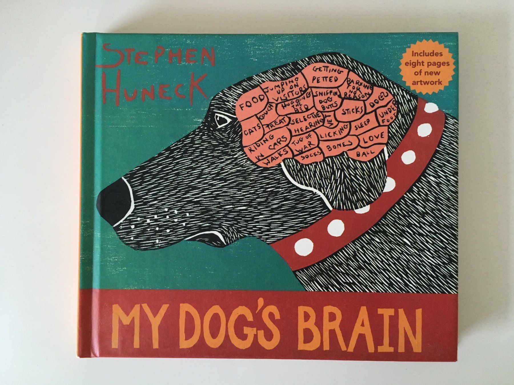 Libri: My Dog‘s Brain - Stephen Huneck – Nuovo (secondo la descrizione) da zürich venduto da Cf8000