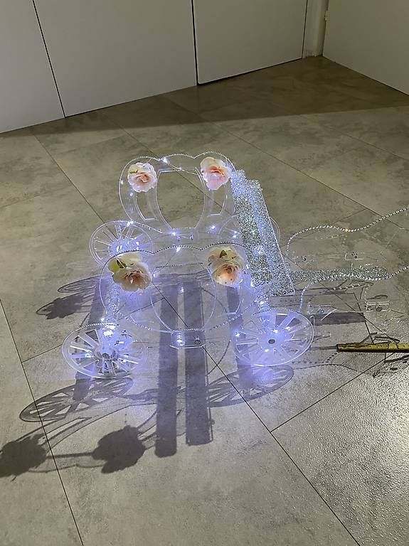 Carrozze: plexiglas kutsche  – Usato da Adligenswil venduto da balboa5