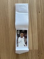 Panini WM 2026 Coca-Cola Sticker Antonee Robinson