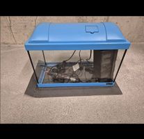 Aquarium 20L LED Aquarium