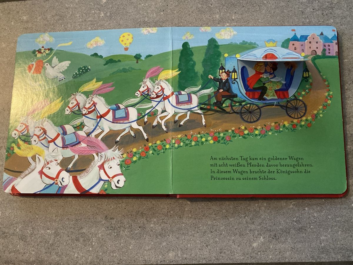 Libri: Der Froschkönig Märchenbuch mit Klappen – Usato da Niederbüren venduto da funkel06 4